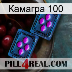 Камагра 100 03